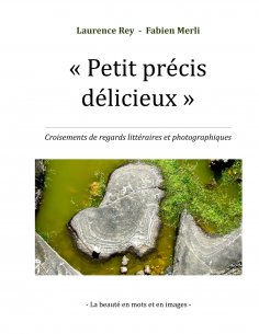 eBook: Petit précis délicieux