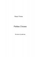 eBook: Petites choses