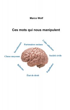 eBook: Ces mots qui nous manipulent