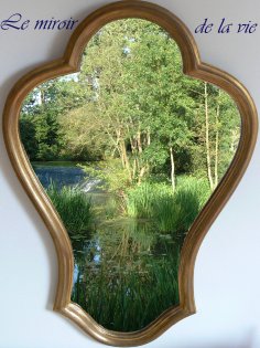 eBook: le miroir de la vie