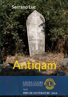 ebook: Antiqam