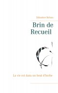 eBook: Brin de Recueil