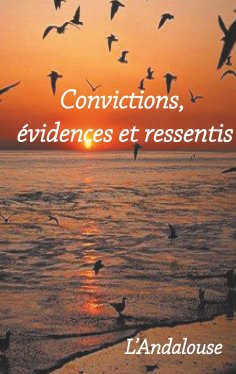 eBook: Convictions, évidences et ressentis