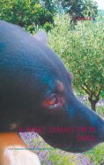 eBook: Il n'est jamais trop tard