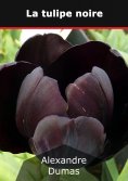 eBook: La tulipe noire