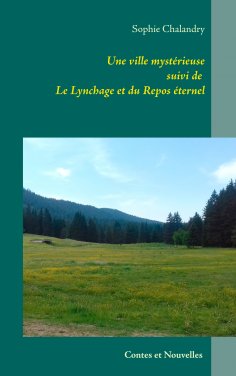 ebook: Une ville mystérieuse