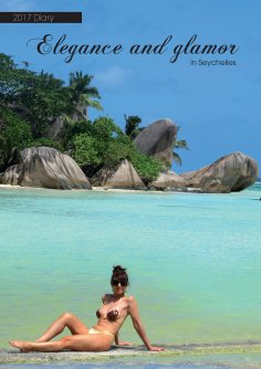 eBook: Diary 2017