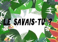 eBook: Le savais-tu?
