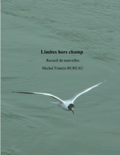 eBook: Limites hors champ
