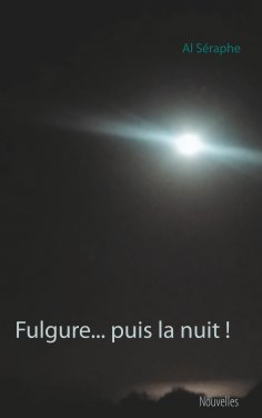 ebook: Fulgure... puis la nuit !