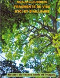 eBook: Fragments de vies d'ici et d'ailleurs
