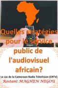 ebook: Quelles stratégies pour le service public de l'audiovisuel africain? : Le cas de la Cameroun Radio T