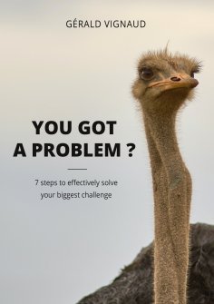eBook: You got a problem ?