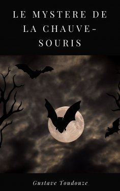 eBook: Le mystère de la chauve-souris