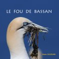 ebook: Le fou de Bassan