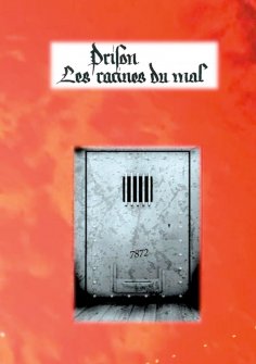 eBook: Prison : les racines du mal