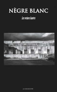 eBook: Nègre Blanc