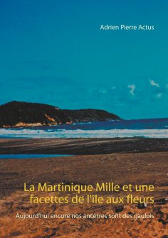 ebook: La Martinique Mille et une facettes de l'île aux fleurs