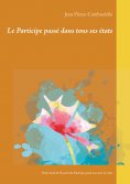 ebook: Le Participe passé dans tous ses états