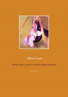 eBook: Herbes, fleurs et insectes avant la sixième extinction