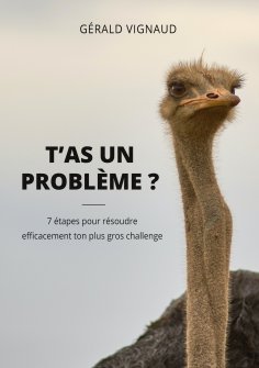 eBook: T'as un problème ?