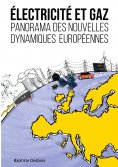 eBook: Électricité et gaz : panorama des nouvelles dynamiques européennes