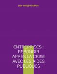 ebook: Entreprises : rebondir après la crise avec les aides publiques