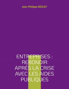ebook: Entreprises : rebondir après la crise avec les aides publiques