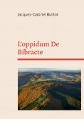 ebook: L'oppidum De Bibracte