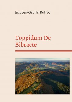 ebook: L'oppidum De Bibracte