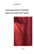ebook: Une poussière d'étoile dans la rosée de l'aube
