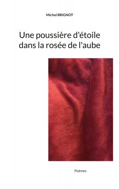 ebook: Une poussière d'étoile dans la rosée de l'aube