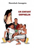 ebook: Un enfant orphelin