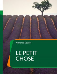 eBook: Le Petit Chose