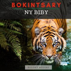 eBook: Bokintsary - Ny biby
