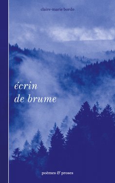 eBook: Écrin de brume
