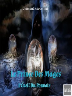 ebook: Le Prince Des Mages