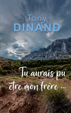 ebook: Tu aurais pu être mon frère !