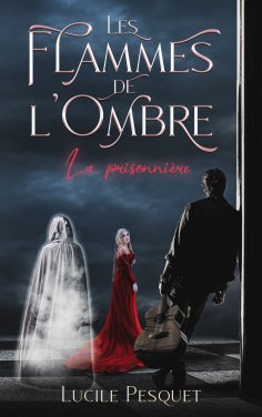 eBook: Les Flammes de l'Ombre