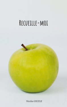 eBook: Recueille-moi
