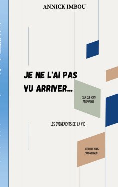 eBook: Je ne l'ai pas vu arriver