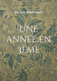 ebook: Une année en 3ème