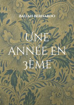 ebook: Une année en 3ème