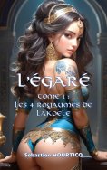 eBook: L'Egaré