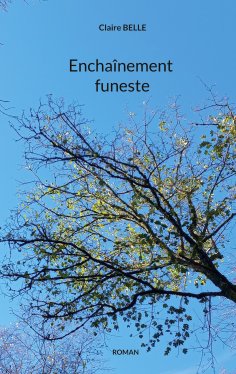 eBook: Enchaînement funeste