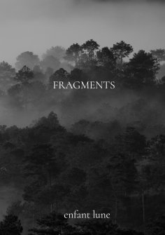 eBook: Fragments