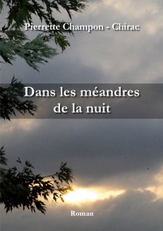 eBook: Dans les méandres de la nuit