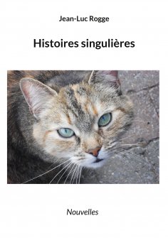 eBook: Histoires singulières