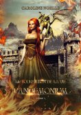 eBook: Le tourbillon de la vie