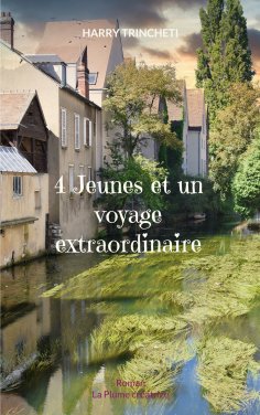 eBook: 4 Jeunes et un voyage extraordinaire